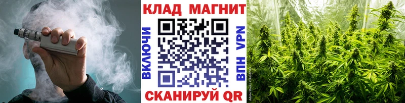 Сколько стоит Гатчина А ПВП Мефедрон Псилоцибиновые грибы Канабис ГАШ