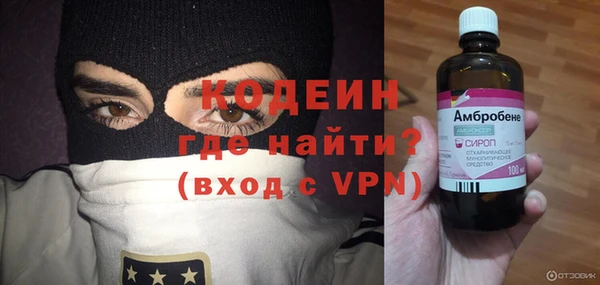 шишки Инсар