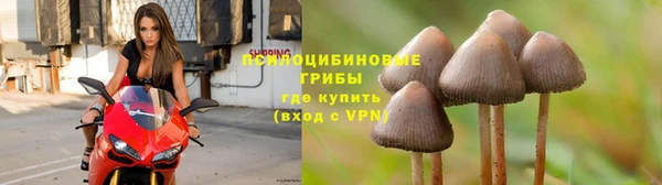 таблы Волоколамск