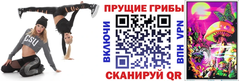 Галлюциногенные грибы Cubensis  Гатчина 