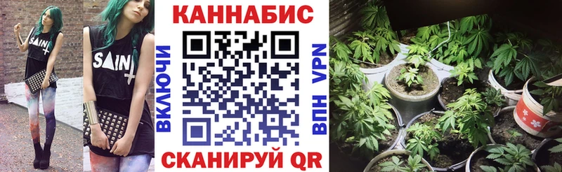сколько стоит  Гатчина  shop наркотические препараты  МАРИХУАНА марихуана 